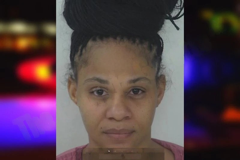 Brittany McLaughlin mugshot