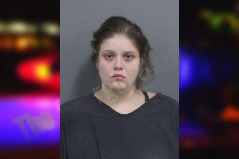Brittany Sellers mugshot – Catoosa County , Georgia Brittany Sellers