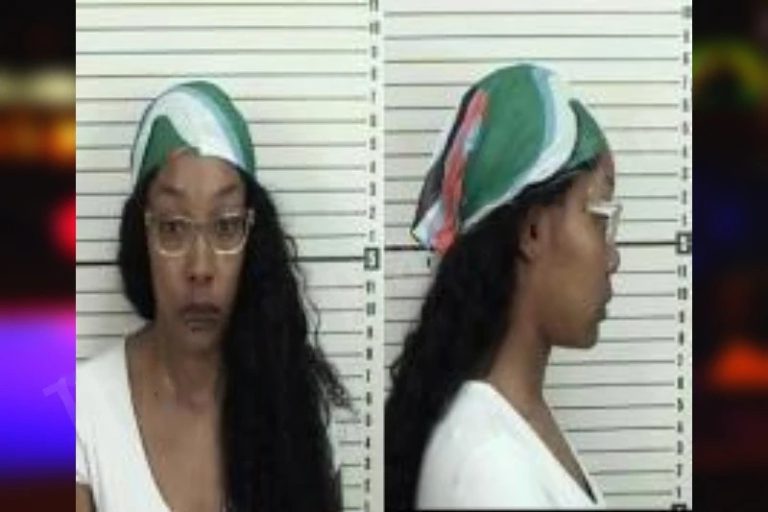 Brittany Simmons mugshot – Camden County , Georgia Brittany Simmons