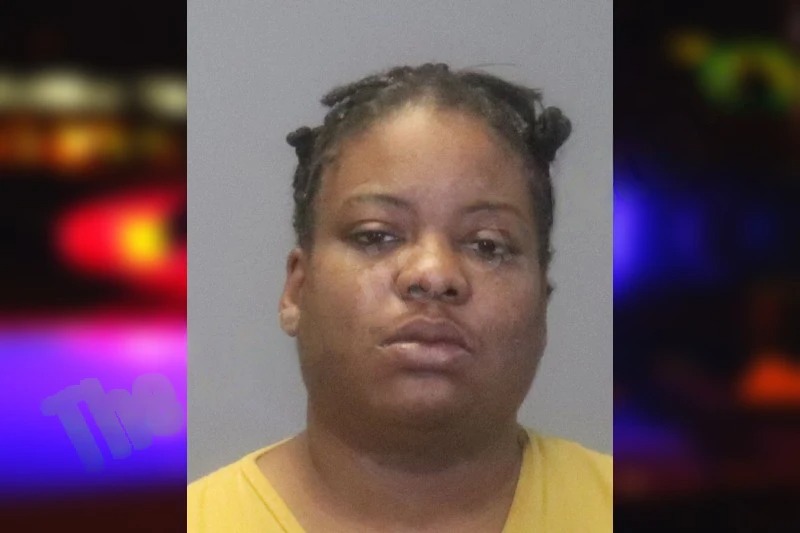 Brittany Smith Mugshots