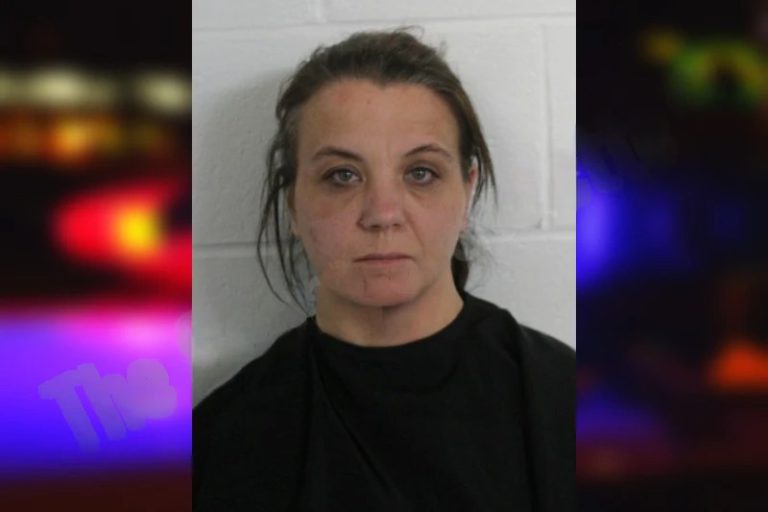 Brittany Waits mugshot – Floyd County , Georgia Brittany Waits