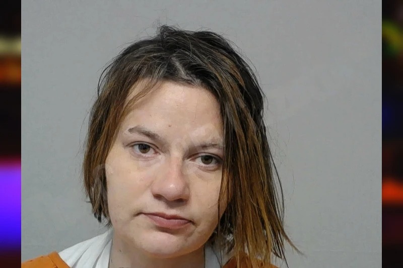 Brittany Wilson Mugshots