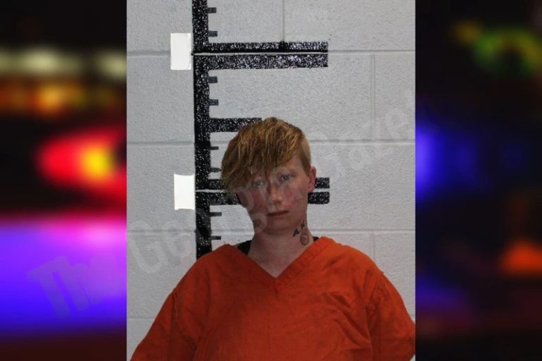 Brittney Covington mugshot – Murray County , Georgia Brittney Covington