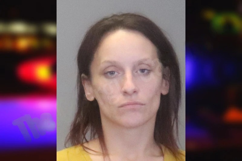 Brittney Lehman Mugshots