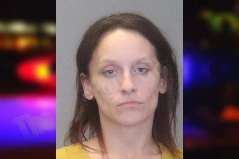 Brittney Lehman Mugshots