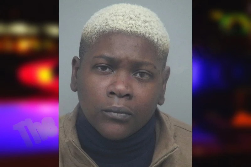 Brittney Ward mugshot – Gwinnett County , Georgia Brittney Ward mugshot