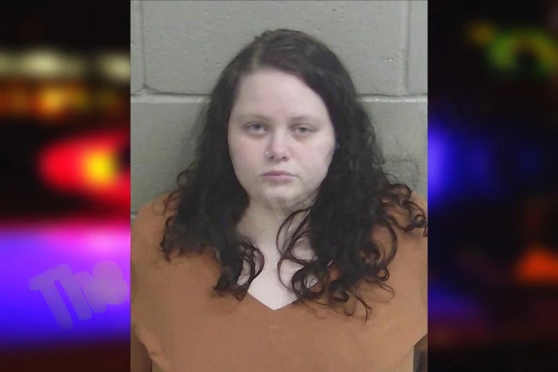 Brooklynn Gletten mugshot – Wayne County , Georgia Brooklynn Gletten mugshot