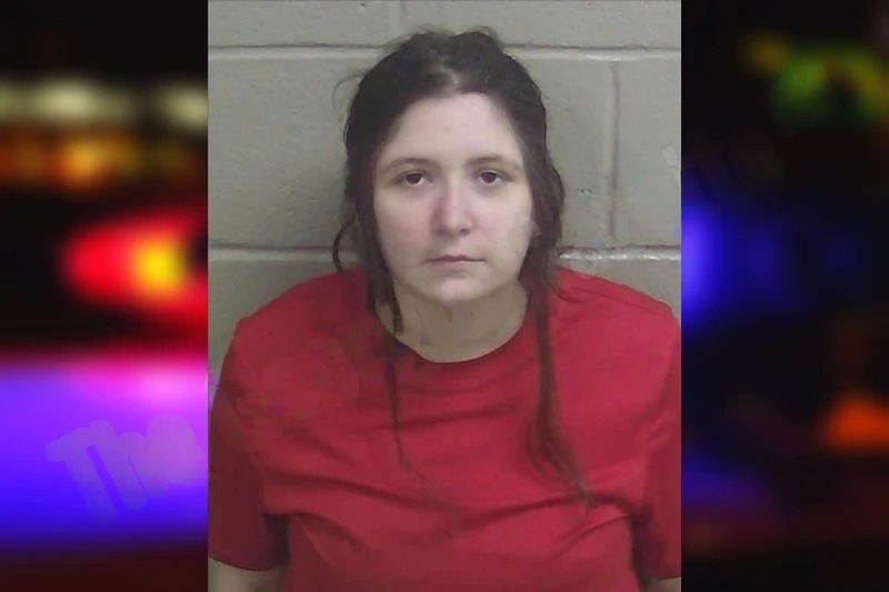 Brooklynn Irwin Mugshots