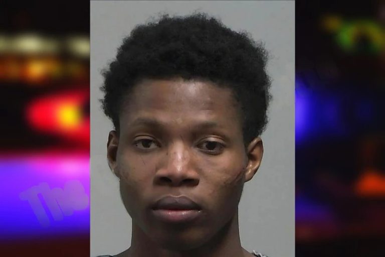 Bylanchy Aubain mugshot – Tift County , Georgia Bylanchy Aubain