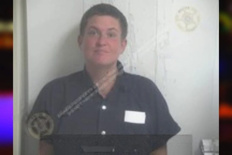 Caitlin Briscoe mugshot – Walker County , Georgia Caitlin Briscoe