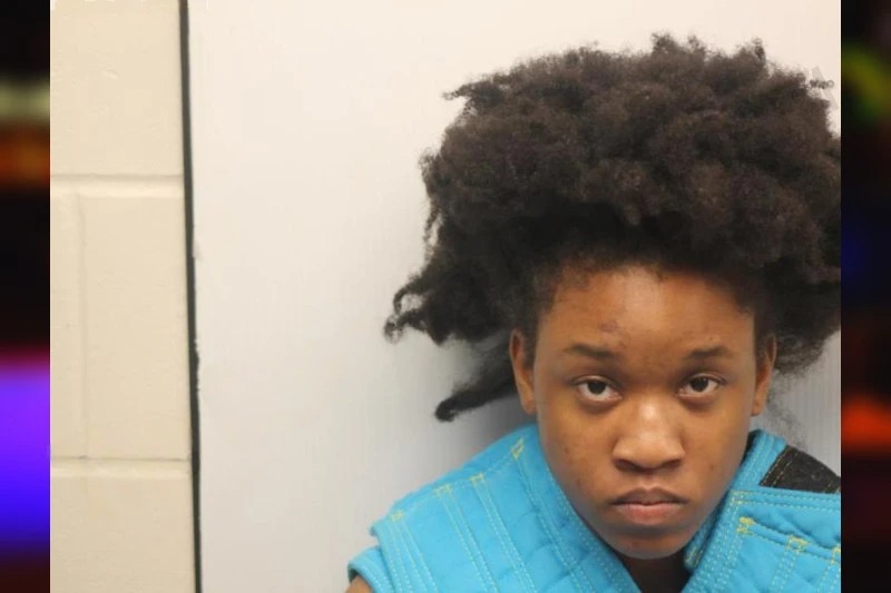 Caitlin Hudson mugshot – Chatham County , Georgia Caitlin Hudson mugshot