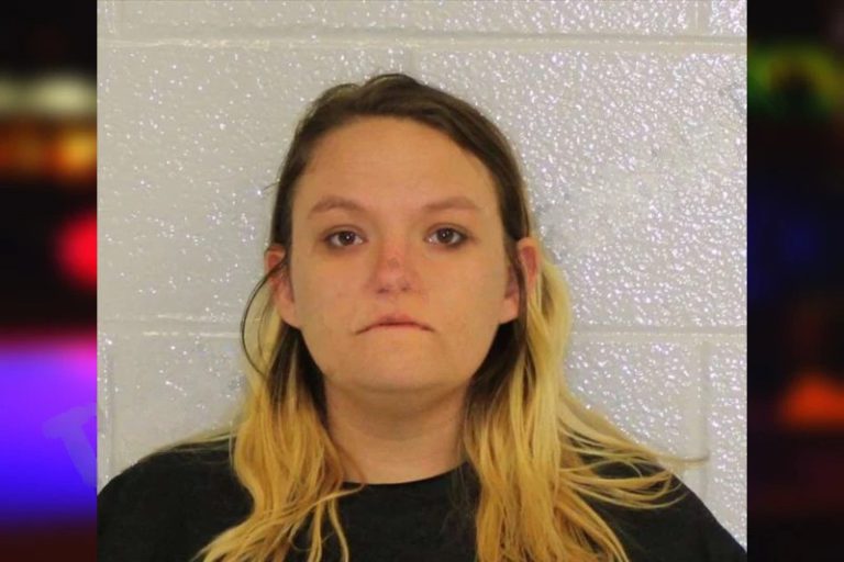 Caitlyn Sherbert mugshot – Gwinnett County , Georgia Caitlyn Sherbert