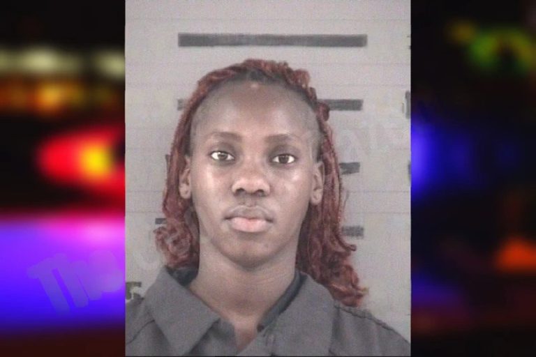 Camary Love mugshot – Dougherty County , Georgia Camary Love