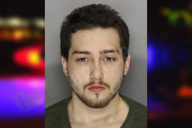 Cameron Palencia Mugshots