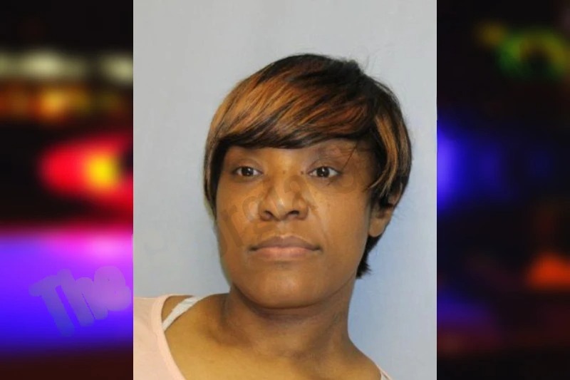 Camilla Hooker mugshot – Hall County , Georgia Camilla Hooker mugshot