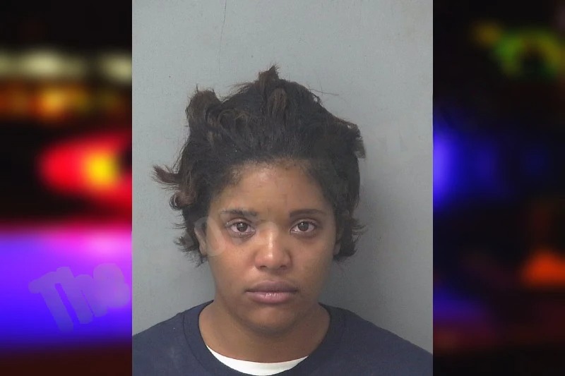 Camille Daniels mugshot – Gwinnett County , Georgia Camille Daniels mugshot