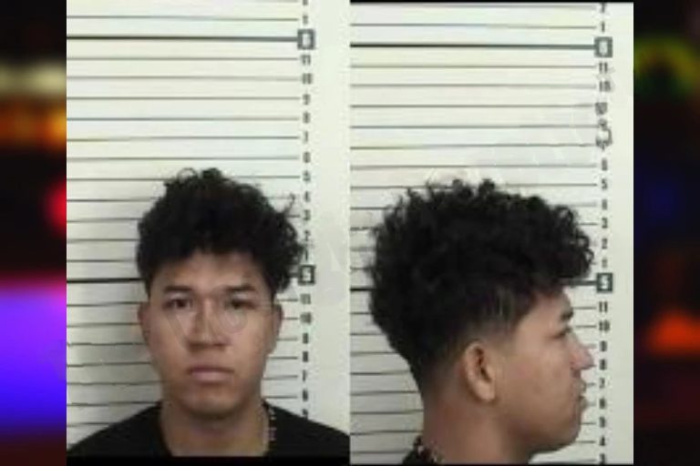 Carlos Powell Levango mugshot – Camden County , Georgia Carlos Powell Levango