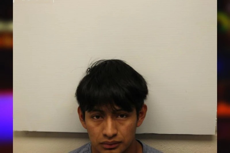 Carlos Ruiz Diaz Mugshots