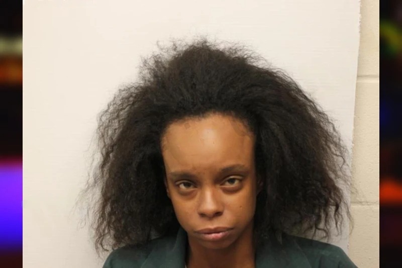 Carmen Hernandez-Reyes Mugshots