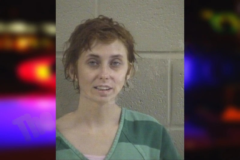 Carmon Barbee mugshot – Whitfield County , Georgia Carmon Barbee mugshot