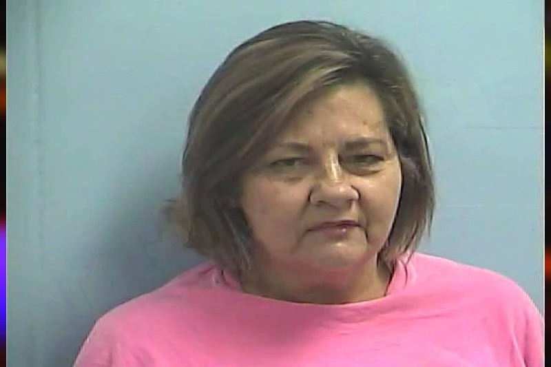 Carol Snyder Mugshots