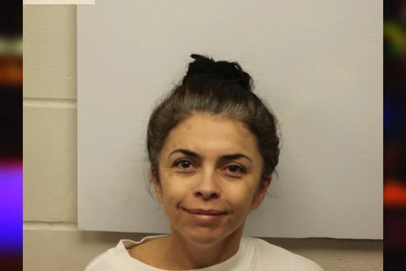 Carolina Nunez Mugshots