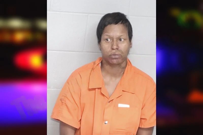 Cartesha McGee Mugshots