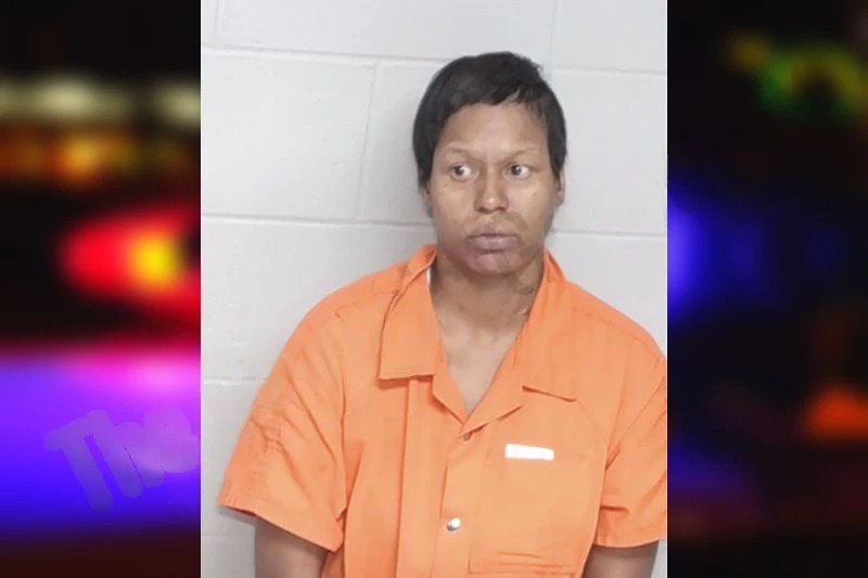 Cartesha McGee Mugshots