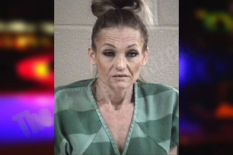 Casey McIntyre mugshot