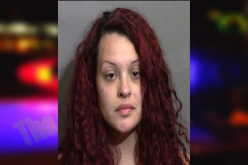 Cassondra Filomena mugshot – Glynn County , Georgia Cassondra Filomena mugshot