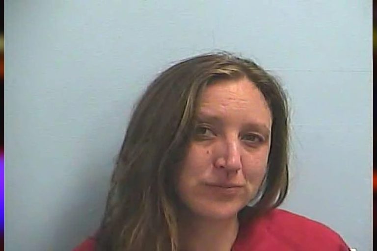 Catherine Orweller mugshot – Dawson County , Georgia Catherine Orweller