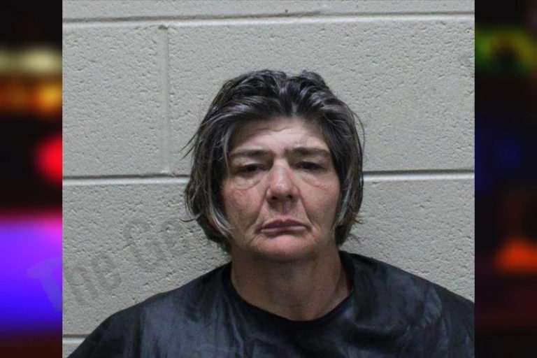 Cathy Haney mugshot – Haralson County , Georgia Cathy Haney