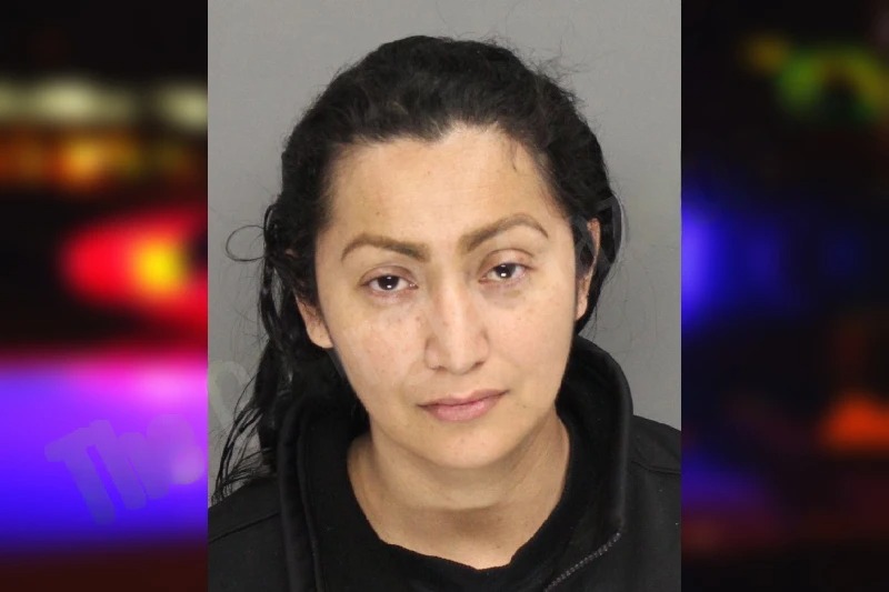 Cayetana Rodriguez mugshot – Cobb County , Georgia Cayetana Rodriguez mugshot