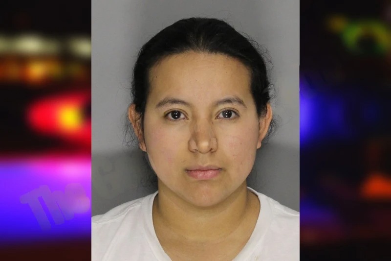 Cecilia Santos mugshot – Cobb County , Georgia Cecilia Santos mugshot