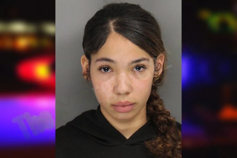 Chanda Pollock mugshot – Gwinnett County , Georgia Chanda Pollock