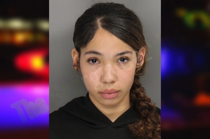 Chanda Pollock Mugshots