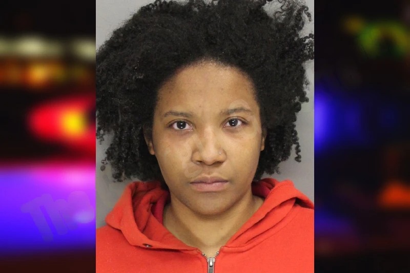 Chandler Dale mugshot