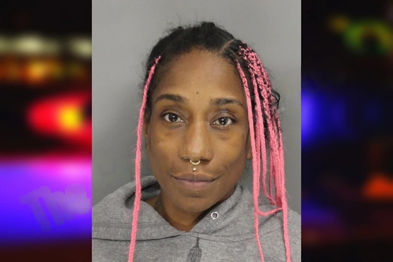 Chanelle Santiago mugshot – Cobb County , Georgia Chanelle Santiago mugshot