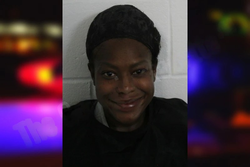 Chastan Mims mugshot