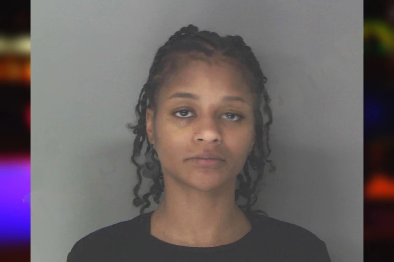 Chelcy Dingle mugshot