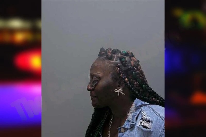 Cheryl Cobb Mugshots