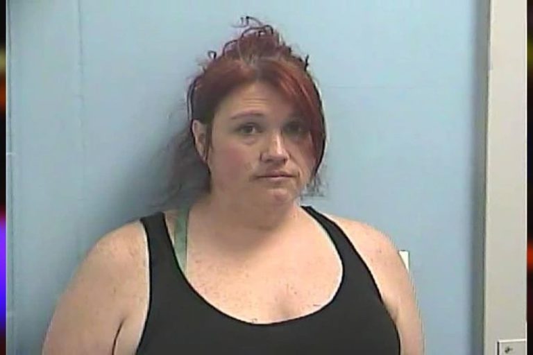 Cheryl Dowdy mugshot – Dawson County , Georgia Cheryl Dowdy