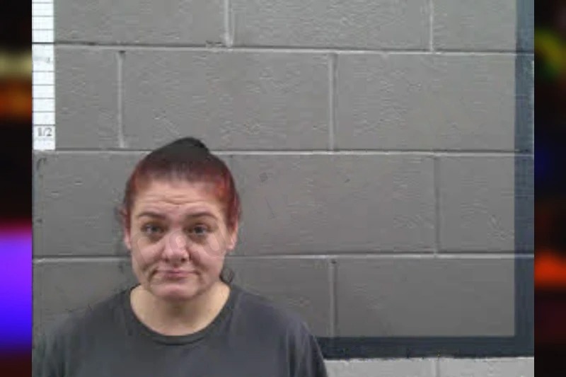 Cheryl Shook Burch mugshot