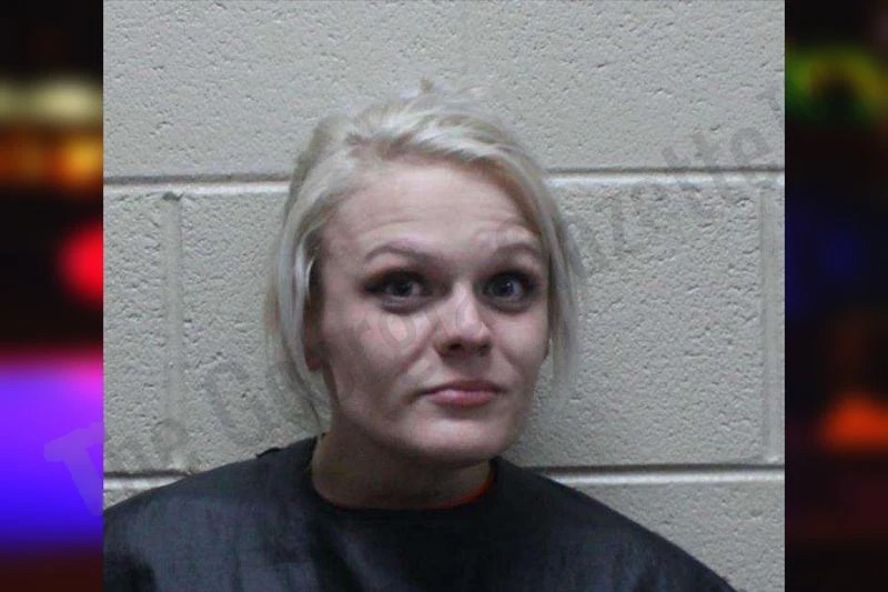 Cheyenne Verdin mugshot – Haralson County , Georgia Cheyenne Verdin mugshot