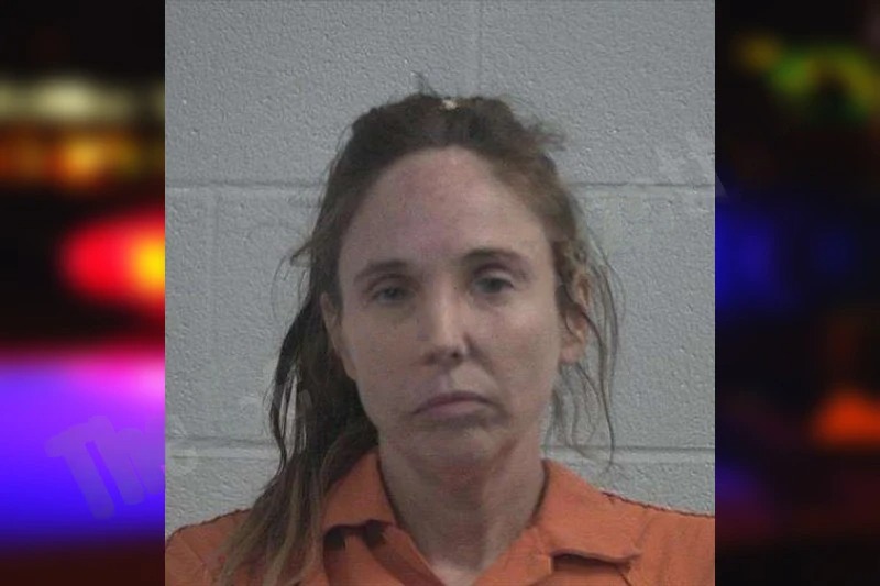 Christie Hollingsworth mugshot