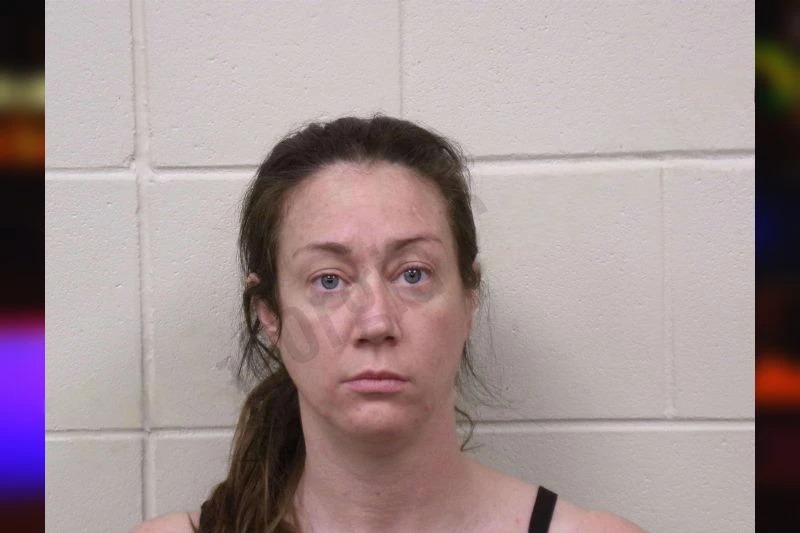 Christina Cairney mugshot – Bulloch County , Georgia Christina Cairney mugshot