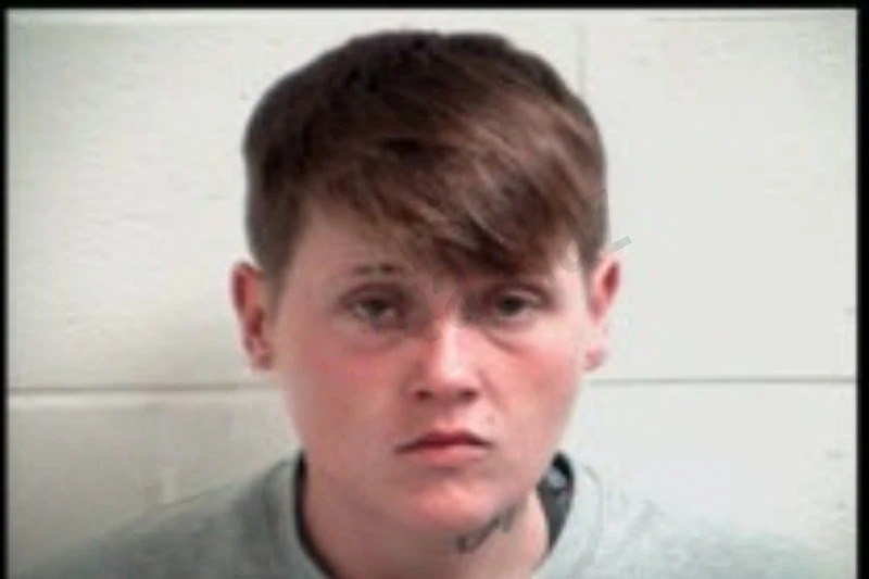 Christina Heaton mugshot – Henry County , Georgia Christina Heaton mugshot