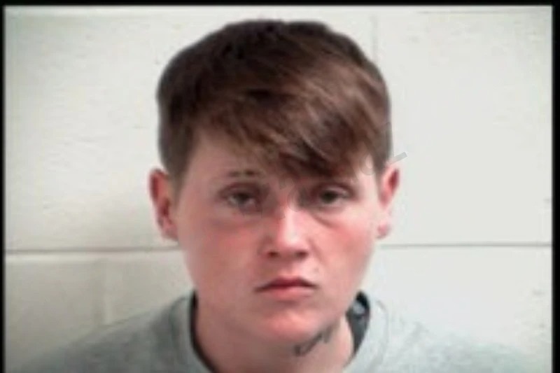 Christina Heaton Mugshots