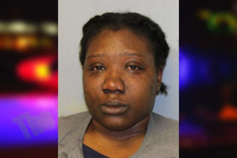 Christina Hendrickson mugshot – Hall County , Georgia Christina Hendrickson