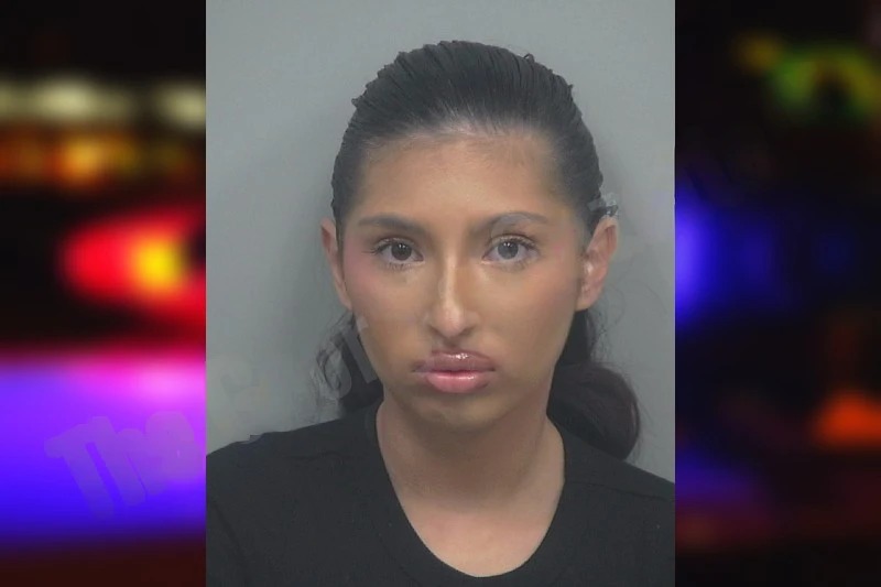 Christina Trejo mugshot – Gwinnett County , Georgia Christina Trejo mugshot